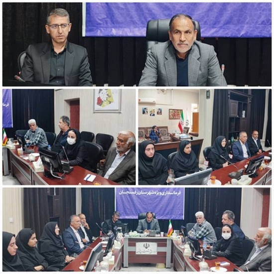 جلسه کارگروه مشورتی شورای سالمندان شهرستان رفسنجان 